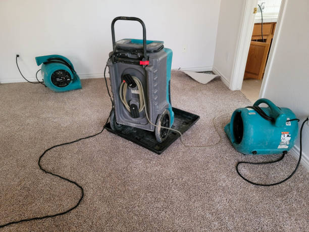 Best Mold removal after water damage  in Bayside Gardens, OR