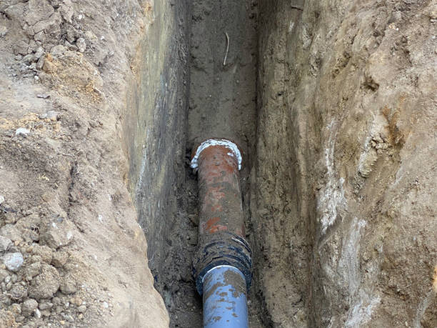 Best Water damage contractors near me  in Bayside Gardens, OR