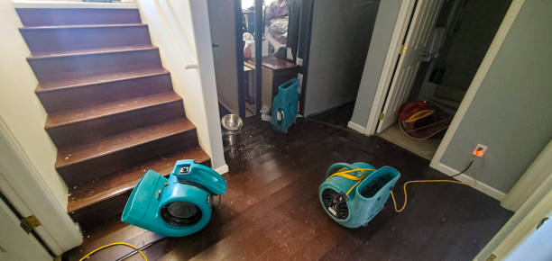 Best Flood restoration services  in Bayside Gardens, OR