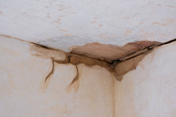 Best Ceiling water damage repair  in Bayside Gardens, OR