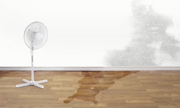 Best Flooded house restoration  in Bayside Gardens, OR