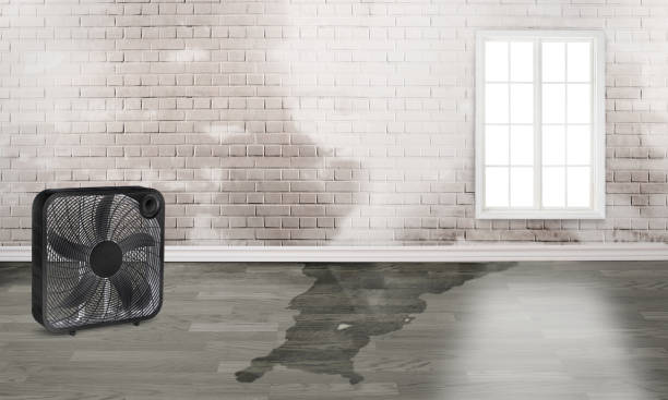 Best Sewage cleanup and water damage restoration  in Bayside Gardens, OR