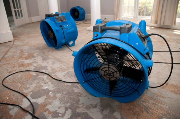 Best Local water damage restoration  in Bayside Gardens, OR