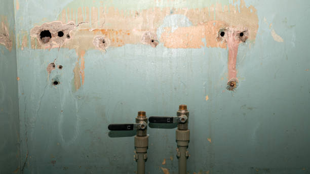 Best 24/7 water damage repair  in Bayside Gardens, OR