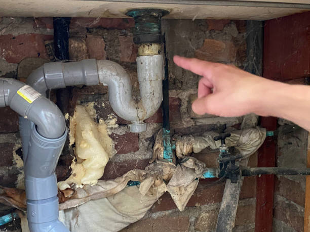 Best Water damage restoration near me  in Bayside Gardens, OR