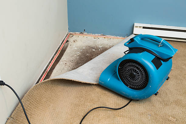 Best Ceiling water damage repair  in Bayside Gardens, OR